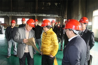 2012年1月31日，时任黄冈市委书记鲁俊携带市发改委等市级部门掌管人到公司调研